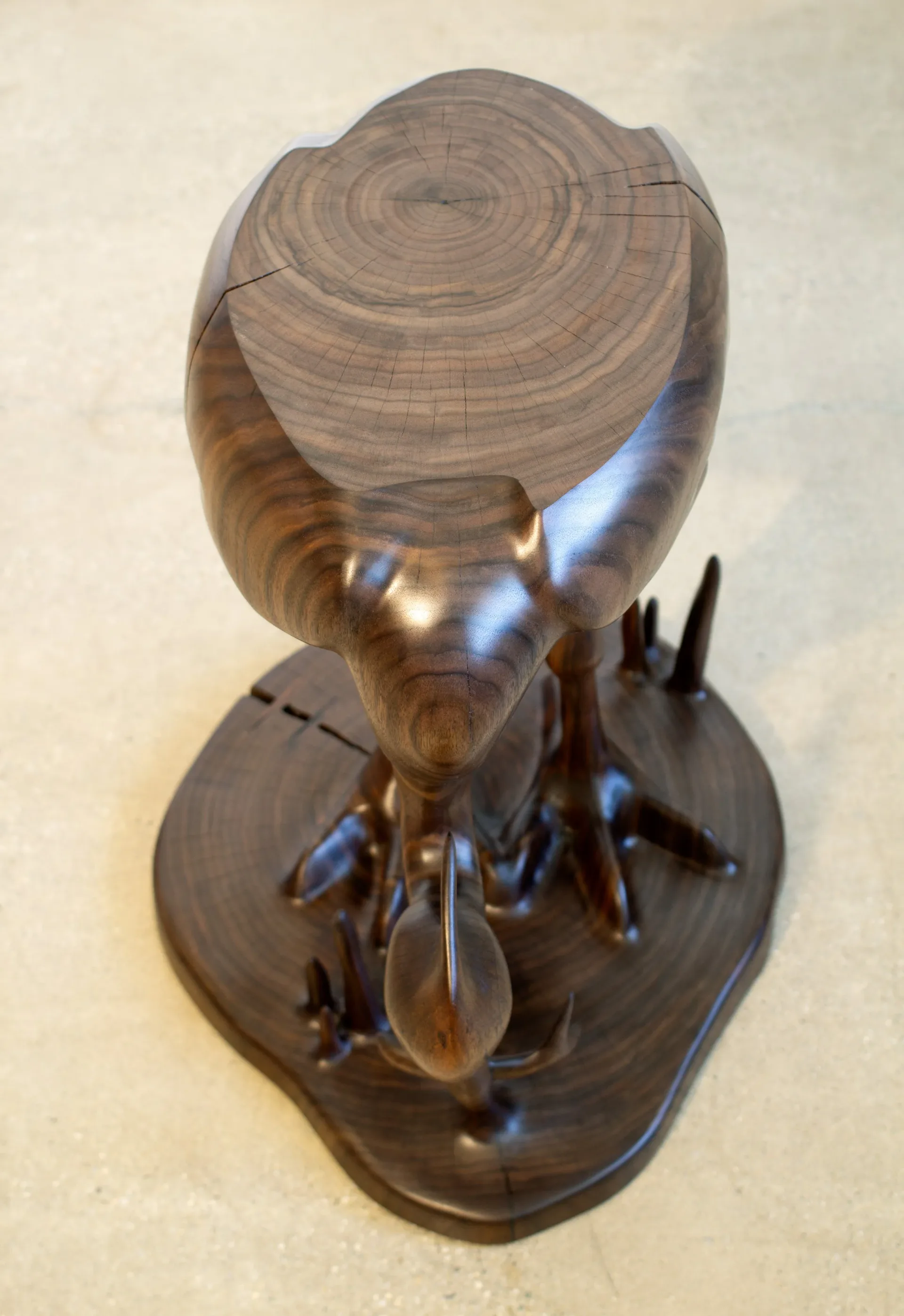 Wood sculpture featuring a polished tree-ring cross-section mounted atop an organic carved form with root-like protrusions, by Aaron Poritz.