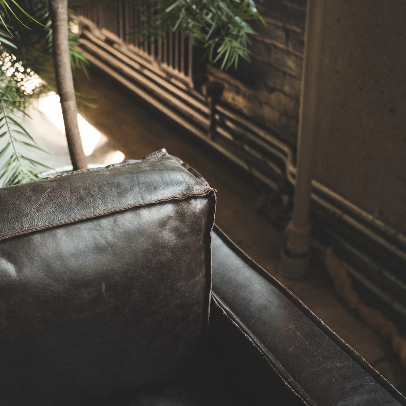 Contemporary interior featuring a dark leather sofa positioned near a window with natural light, minimalist wooden architectural details, and potted plants by Adam Rolston.