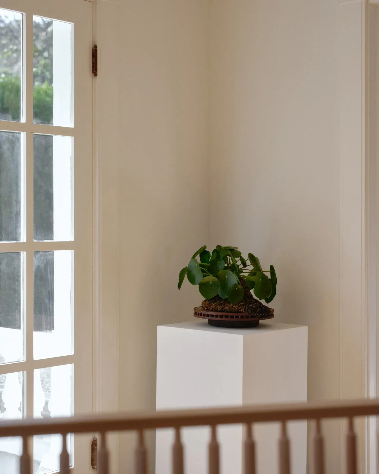 Minimalist interior with potted plant on white pedestal, natural light from multi-pane window, neutral palette by Alejandro Bataille.