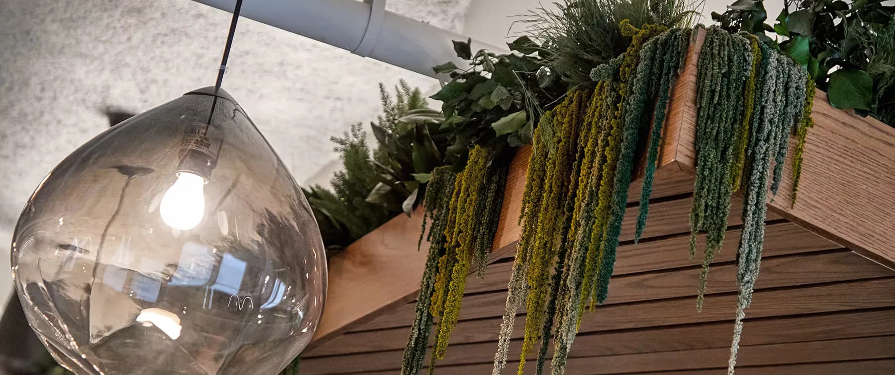 Modern interior detail featuring a translucent pendant light, wooden slat wall paneling, and cascading green trailing plants by Alexa Boyd.