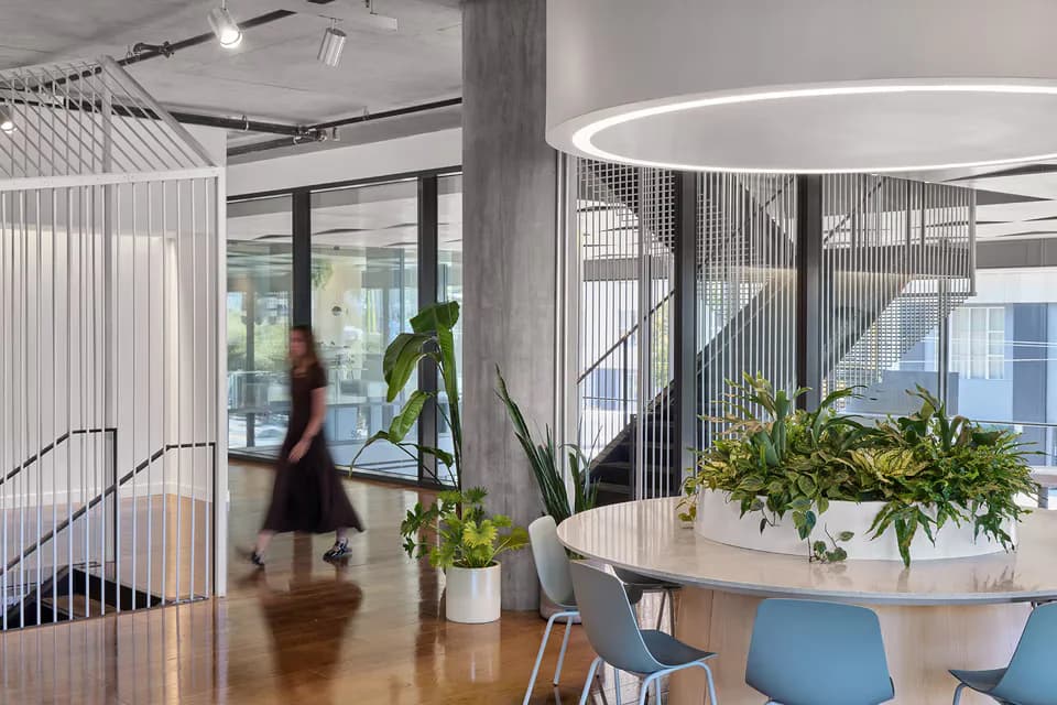 Modern office break room with round wooden table, blue chairs, potted plants, metal mesh partitions, and natural light from large windows by Alexa Boyd.