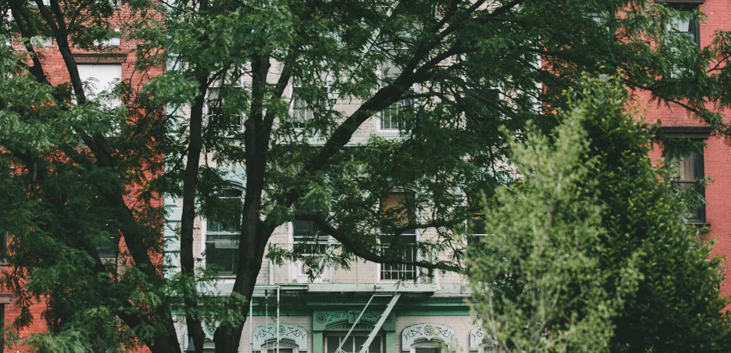 Urban streetscape with brick buildings, mature trees, and fire escapes, photographed in natural daylight by Amber Troyer.