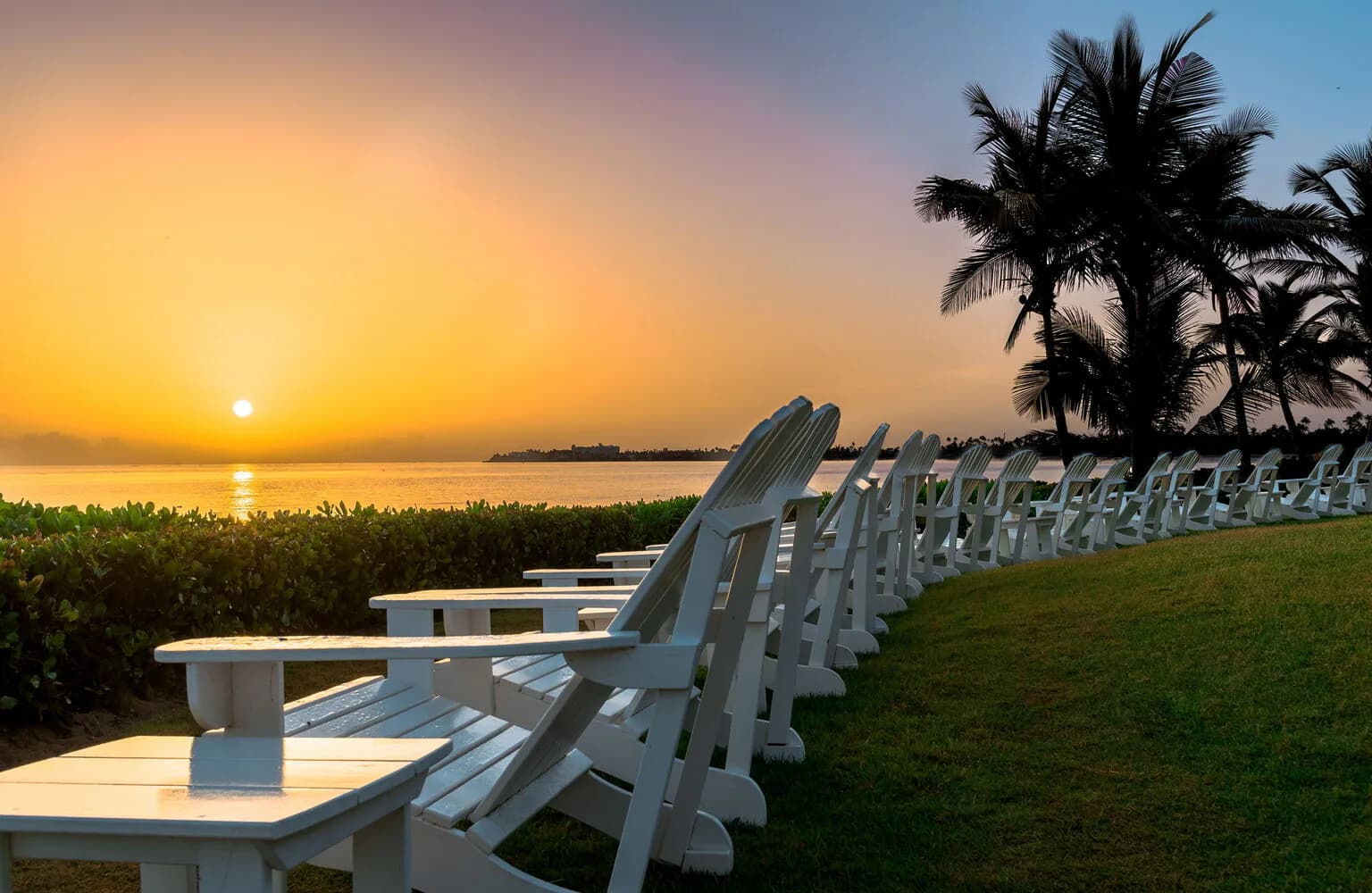 Waterfront landscape design at sunset featuring rows of white Adirondack chairs on manicured lawn with palm trees and water views, by Andrea Rodriguez.