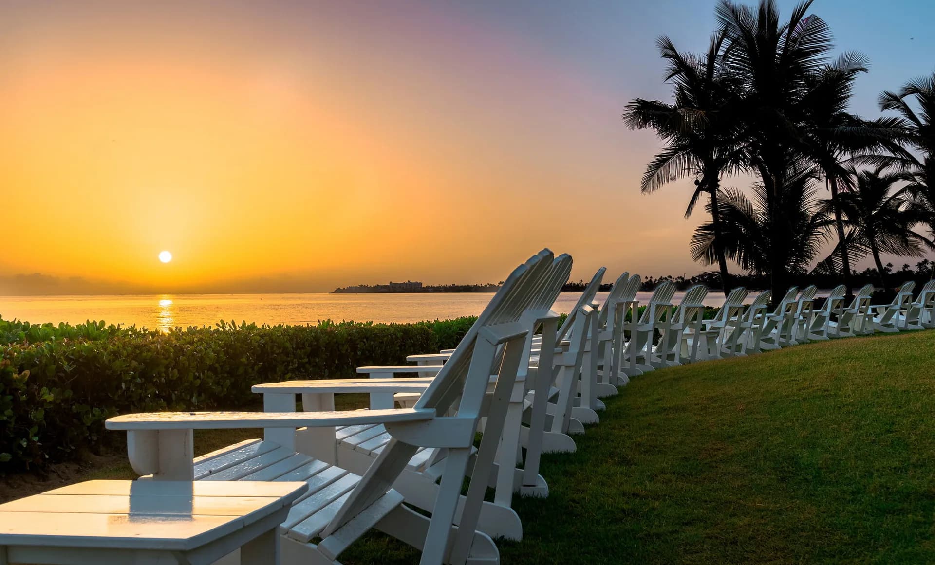 Waterfront lawn with white Adirondack chairs facing sunrise over water, palm trees, and manicured grass by Andrea Rodriguez.