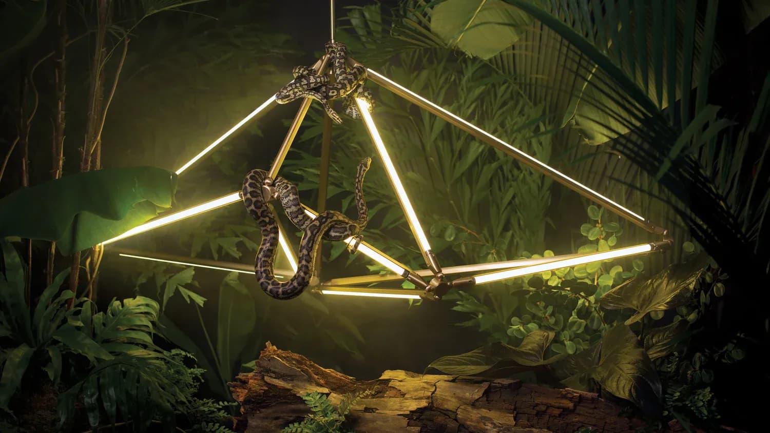 Geometric brass lighting fixture with glowing linear elements suspended above lush tropical foliage and natural materials by Bec Brittain.