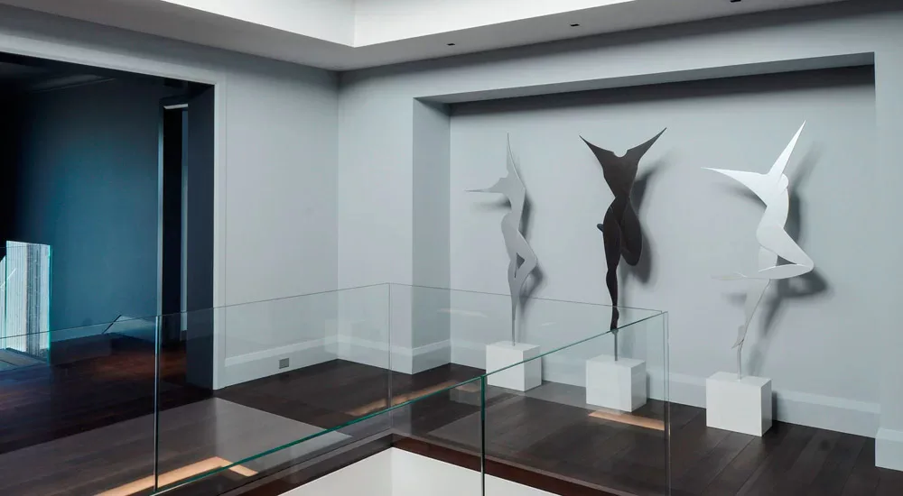 Contemporary gallery space with glass display cases featuring sculptural white and black bird-form installations against white walls by Carol Brewer.