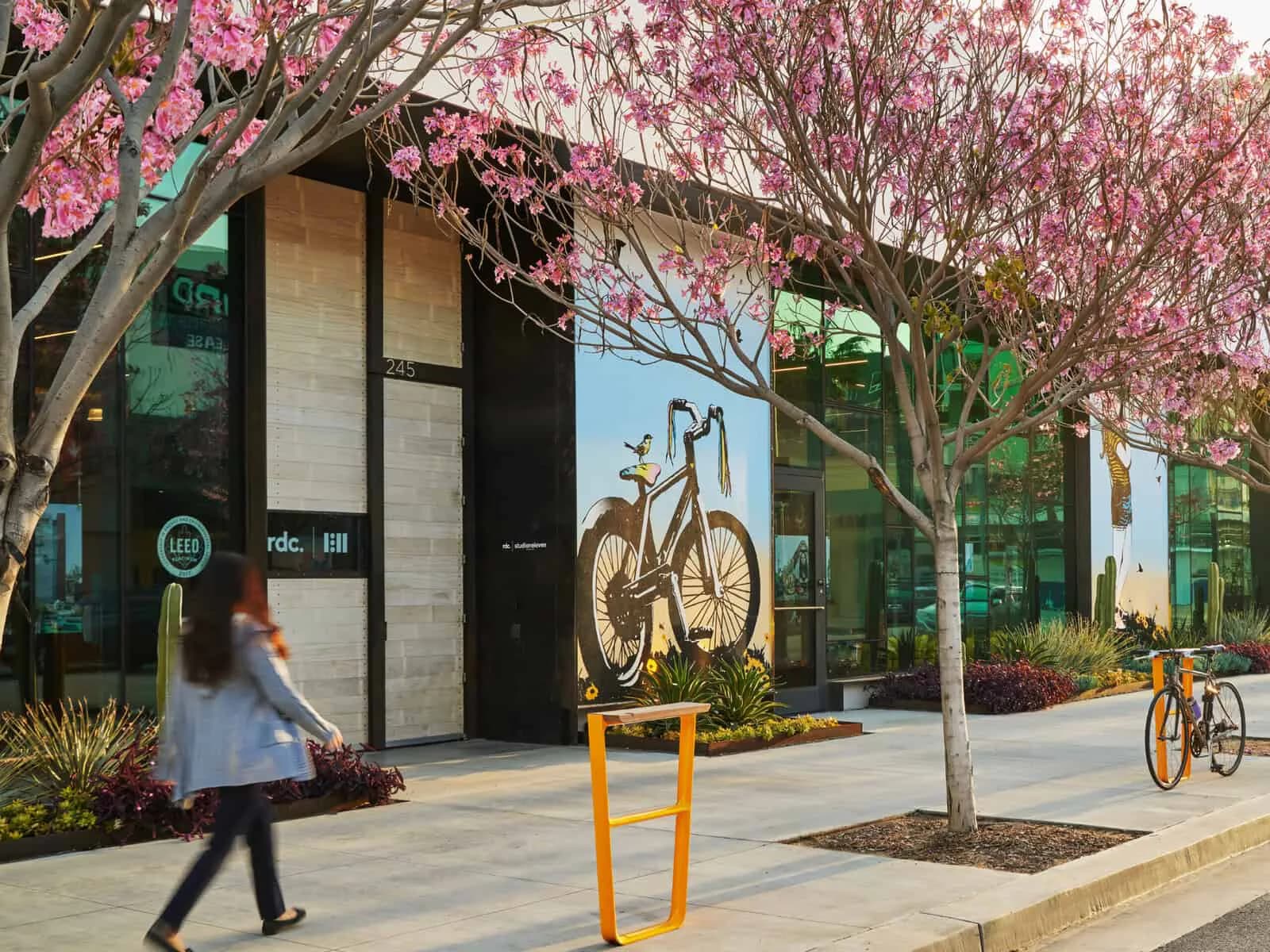 Streetfront storefront with glass windows, concrete facade, and blooming pink flowering trees overhead, featuring bicycle display and bike racks by Chaya Juntara.