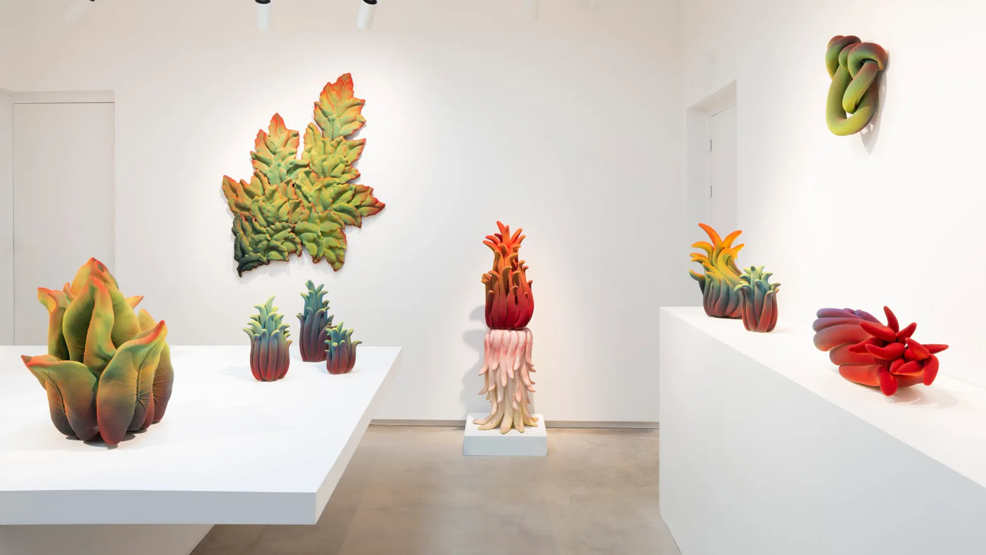 Gallery exhibition space with colorful watercolor botanical wall installations featuring succulents and flowering plants in warm earth tones by Claire Lindner.