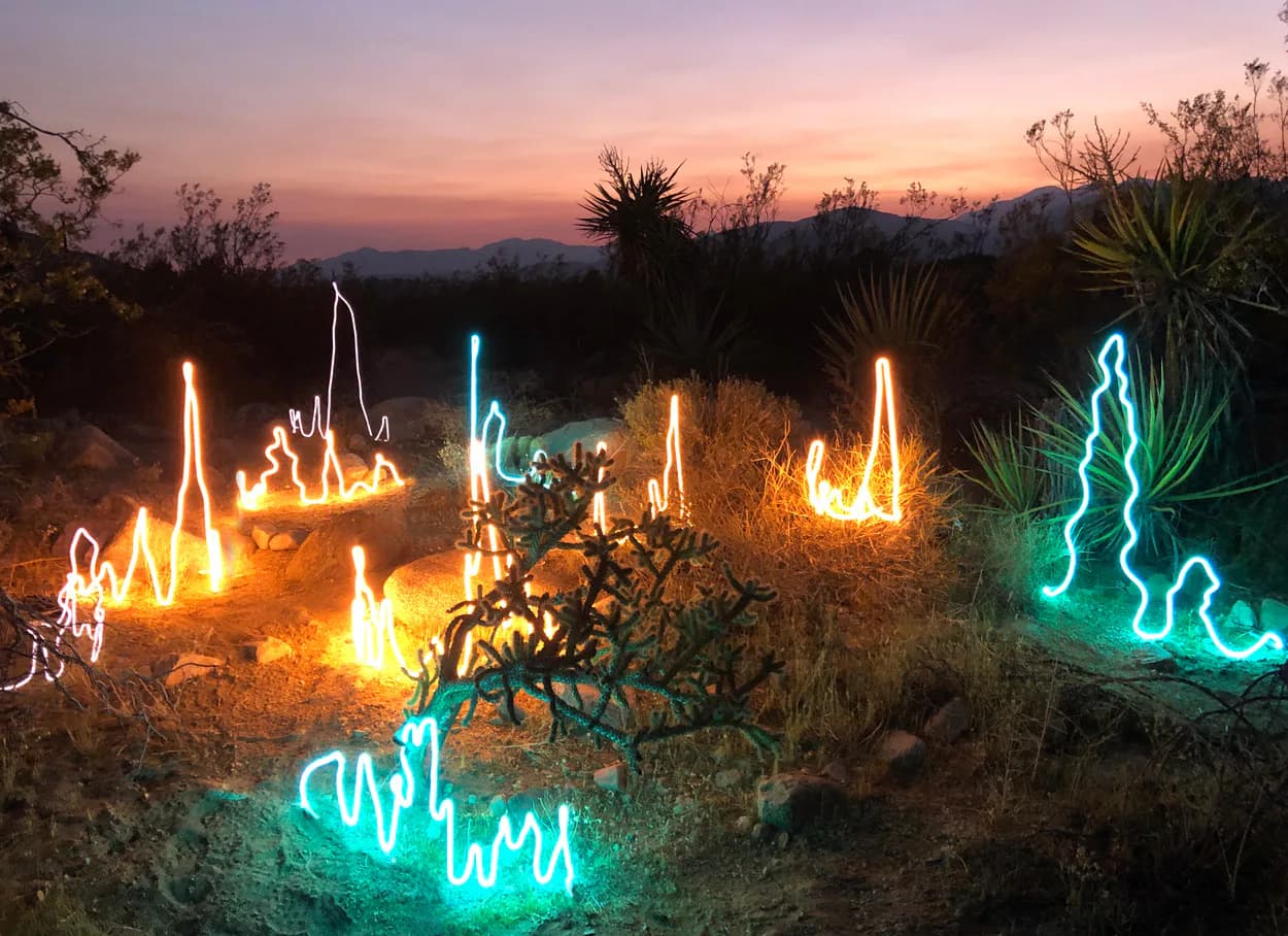 Desert landscape installation with neon light sculptures in warm orange and cool cyan tones at sunset, featuring stylized plant forms by Dace Sūna.