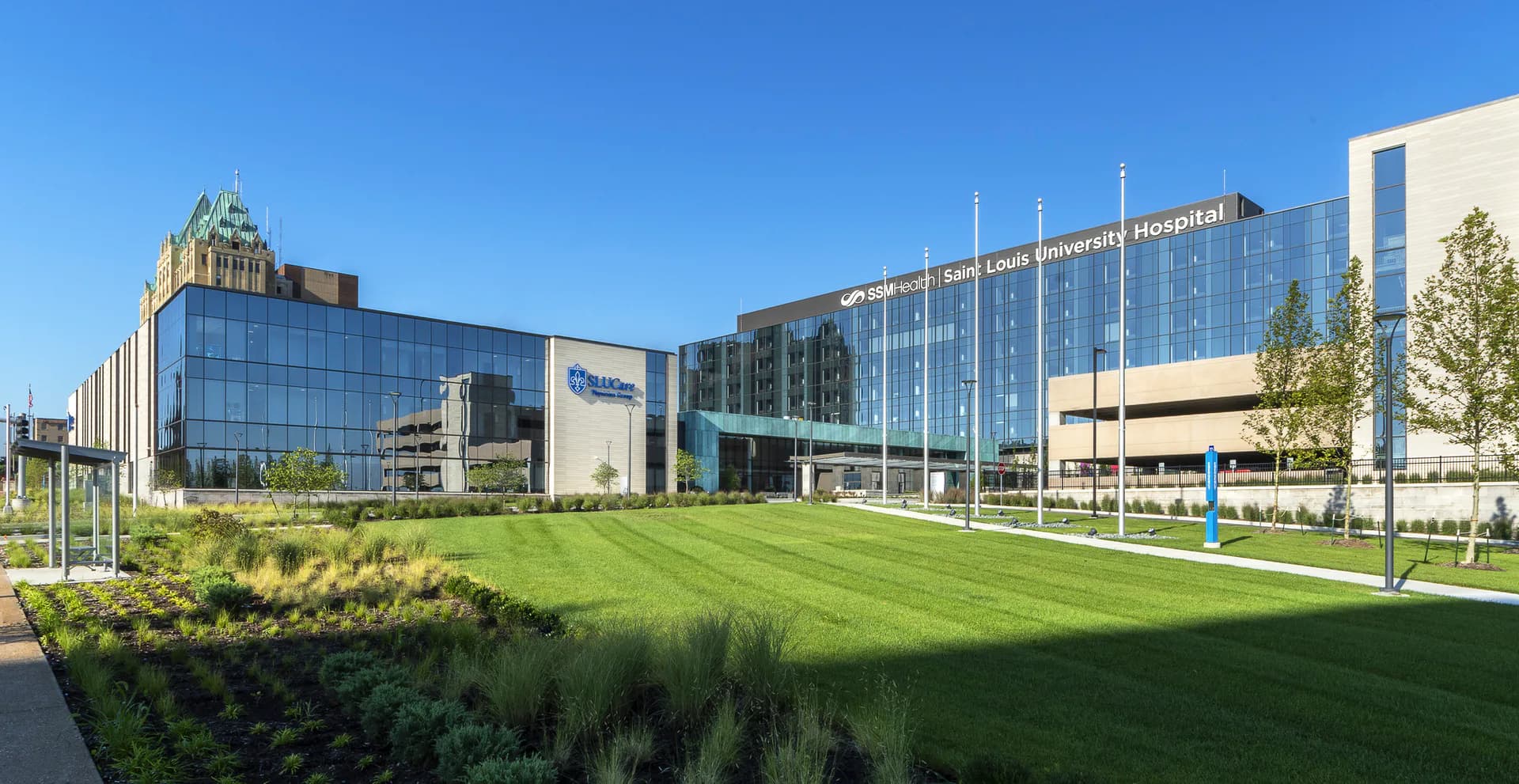 Modern hospital complex with glass and metal facades, manicured lawn, and contemporary architecture by Dana McCarty.