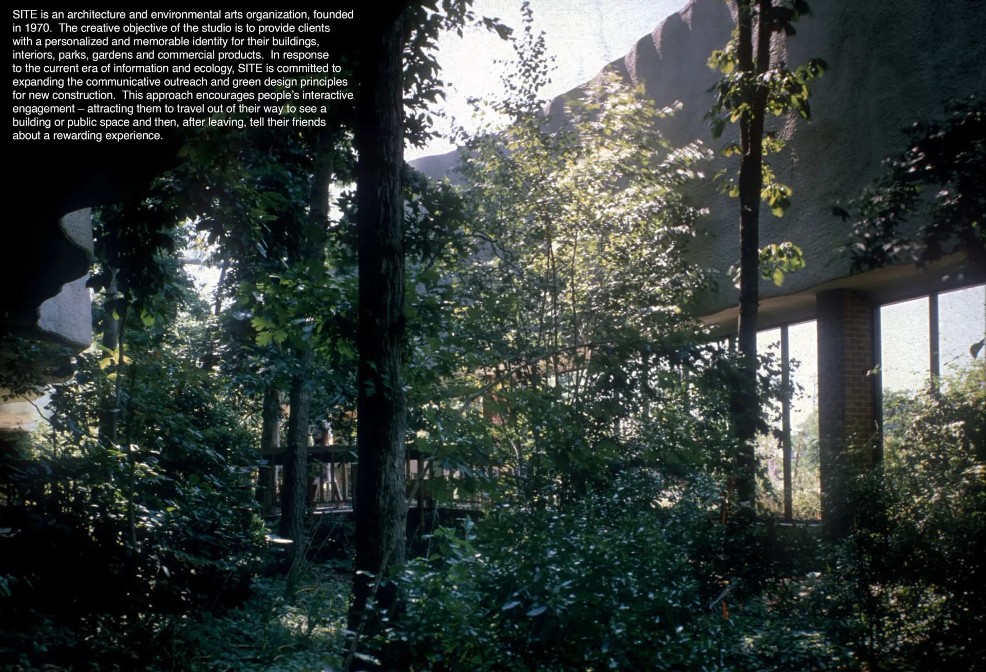 Lush interior garden space with abundant greenery, natural light filtering through large windows, concrete structural elements, and verdant vegetation by Denise Mc Lee.