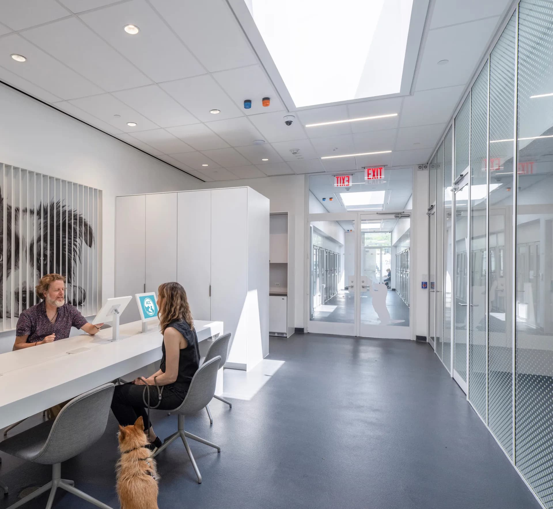 Modern office reception area with white cabinetry, polished concrete flooring, and glass partitions, featuring a curved white desk and skylight, designed by Francesca Bastianini.
