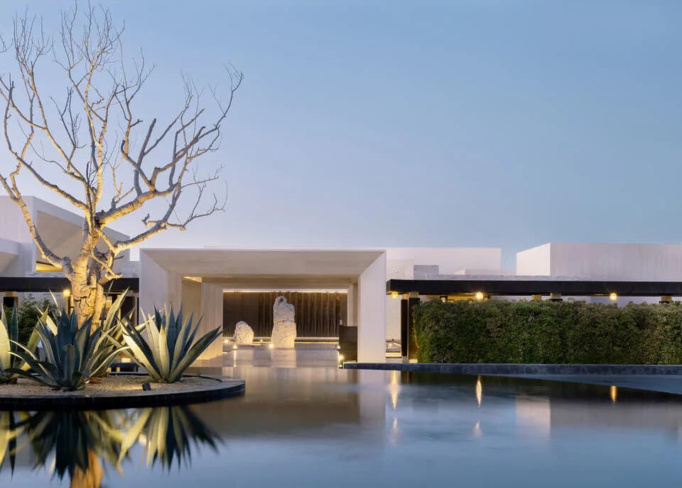 Minimalist luxury courtyard with reflective water feature, golden-lit bare tree, agave plants, and modernist white architecture at dusk by Isaac Jimenez.