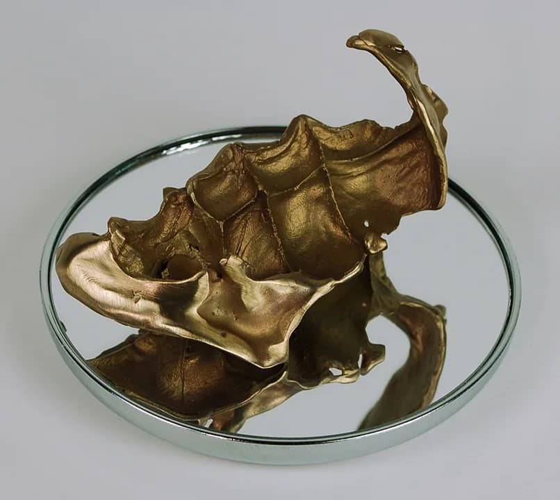 Bronze sculptural elephant figure with dynamic curved trunk posed on a clear glass circular base, designed by Jann Nunn.