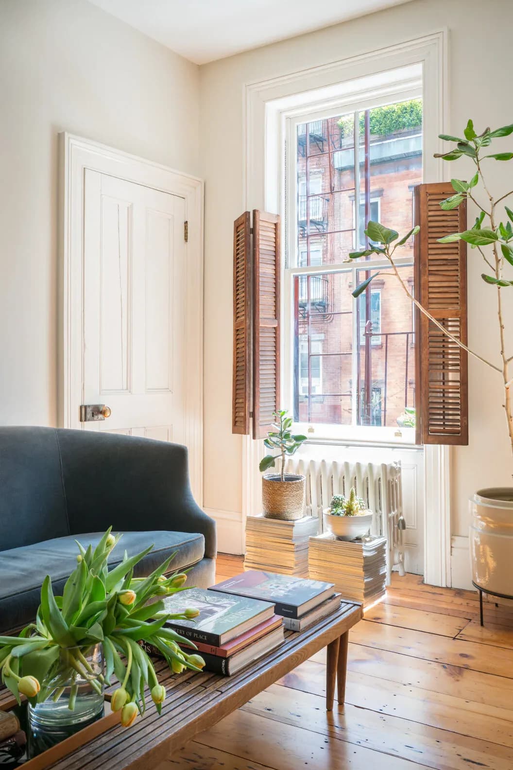 Bright living room with black armchair, wooden coffee table with stacked books, potted plants, and large window with wooden shutters overlooking brick building by Jill Greenwood.