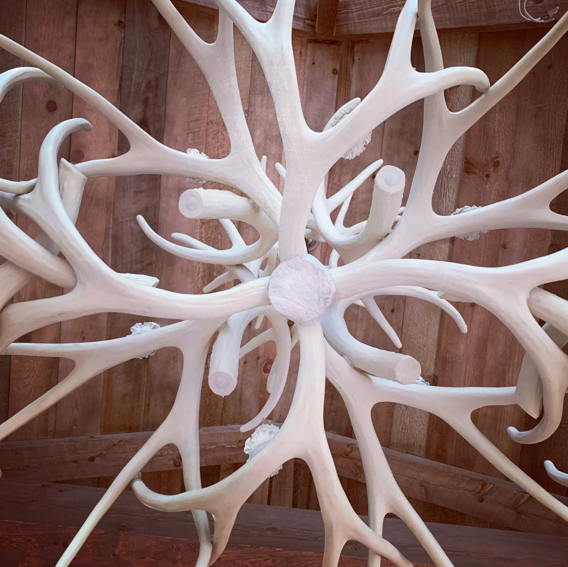 White sculptural installation with organic, branching forms radiating from a central sphere, displayed against a wooden wall backdrop by Keri Tickle.