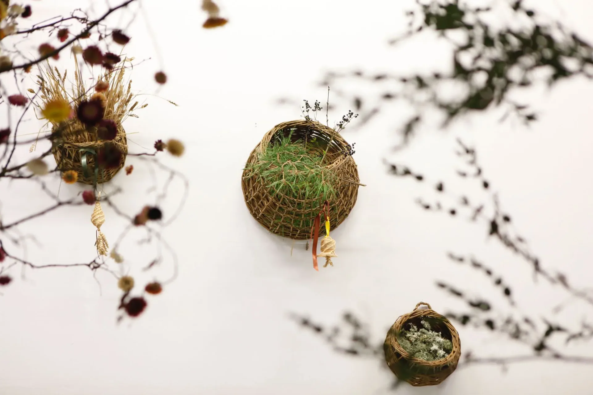 Sculptural installation of spherical woven forms with delicate dried botanicals and natural materials suspended against white backdrop by Lewis Prosser.