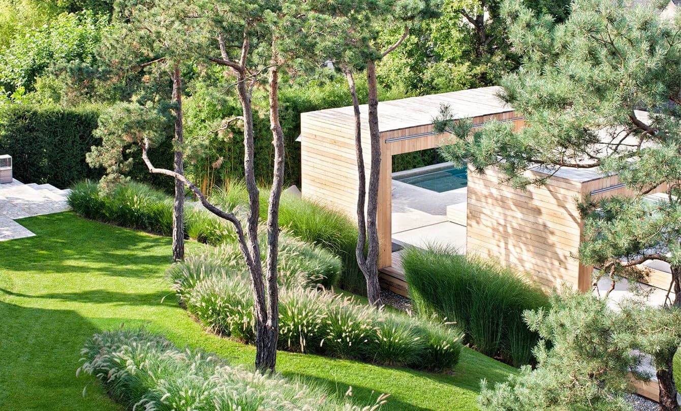 Modern wooden pool pavilion nestled among mature trees with manicured lawn and natural landscaping by Maya Alawa.