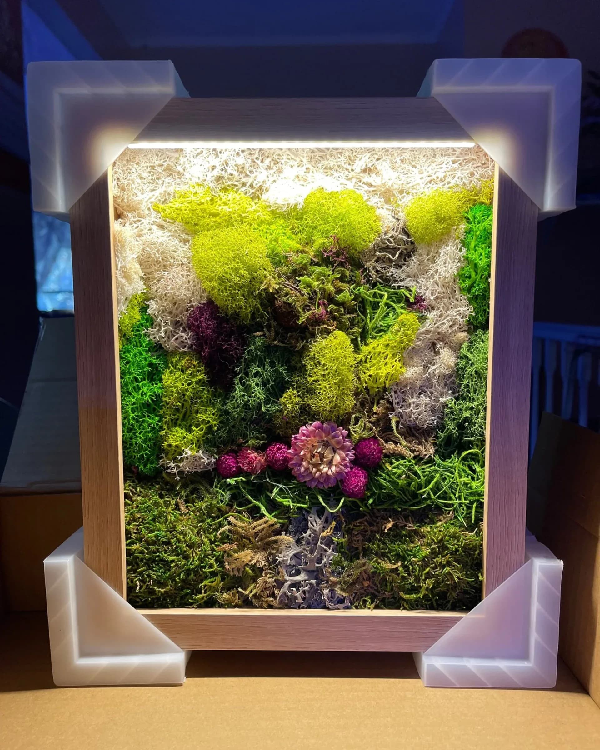 Framed moss and plant wall installation with yellow, green, and pink botanicals against stone backdrop, illuminated display by Michelle Yang.