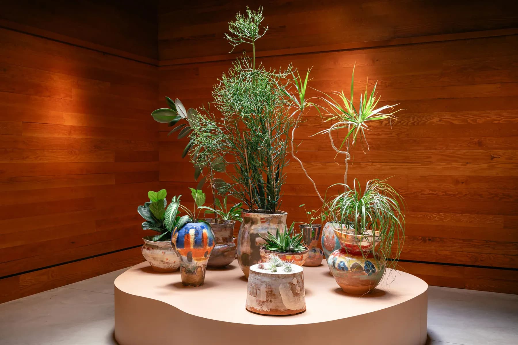 A sculptural installation featuring potted plants and dried botanicals arranged on a circular cream platform against warm wooden walls by Nana Spears.