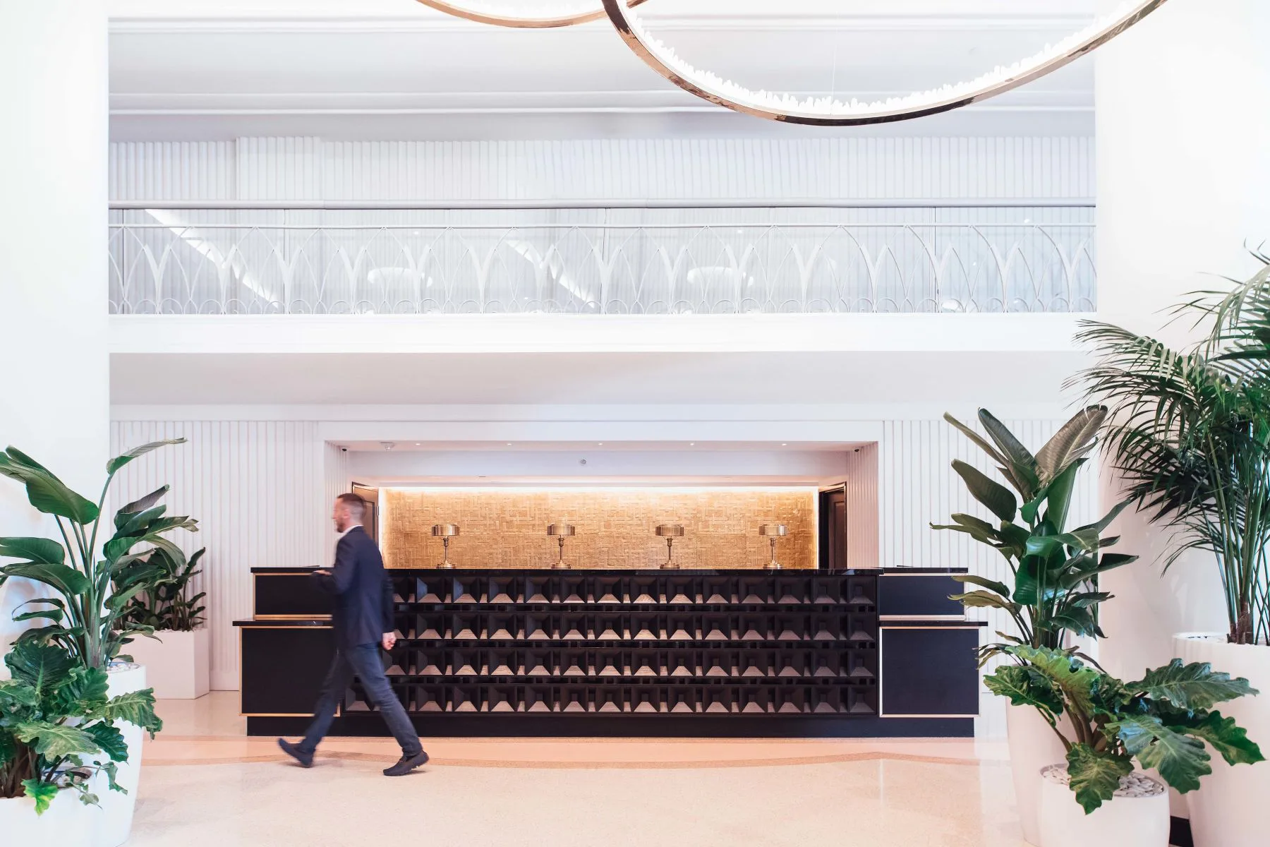 Modern hotel lobby with minimalist black reception desk, potted plants, curved ceiling detail, and polished stone flooring by Nicholas Caruos.