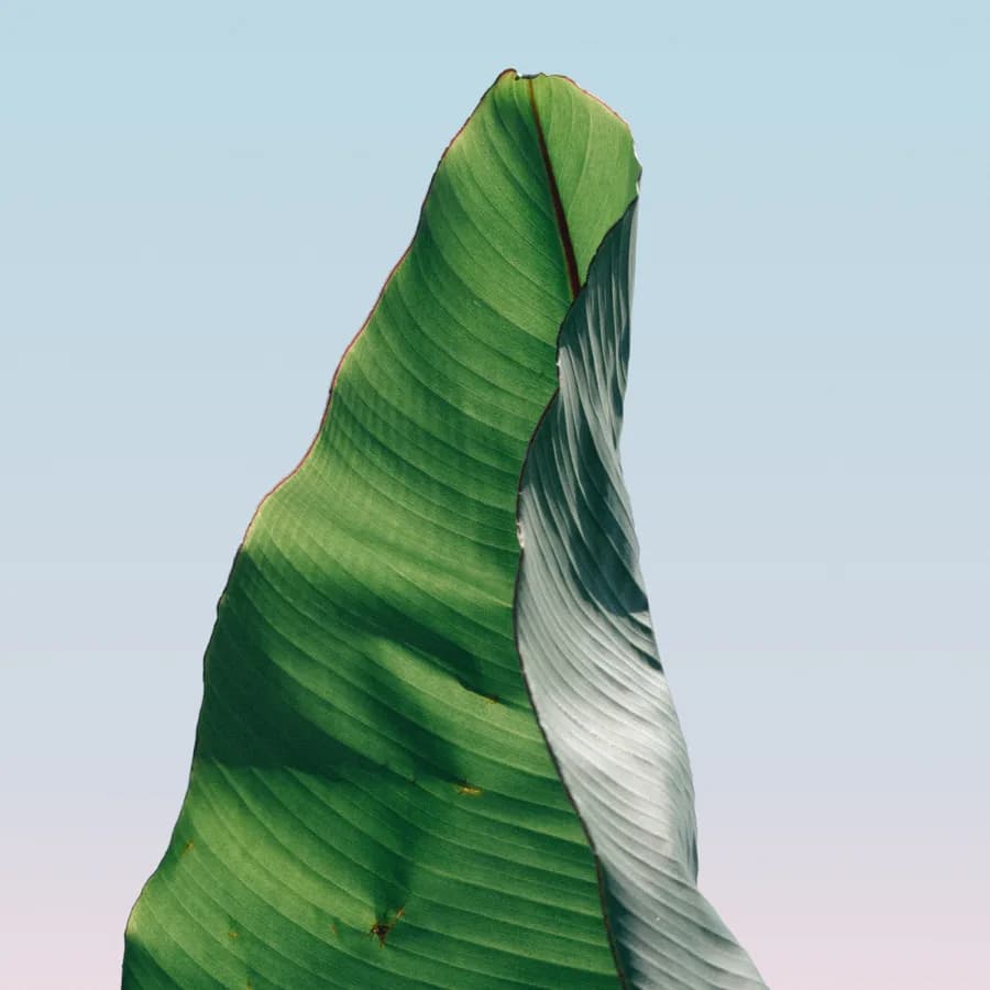 Sculptural twisted form in green and white tones with organic striations, photographed against pale blue sky by Nicholas Devlin.