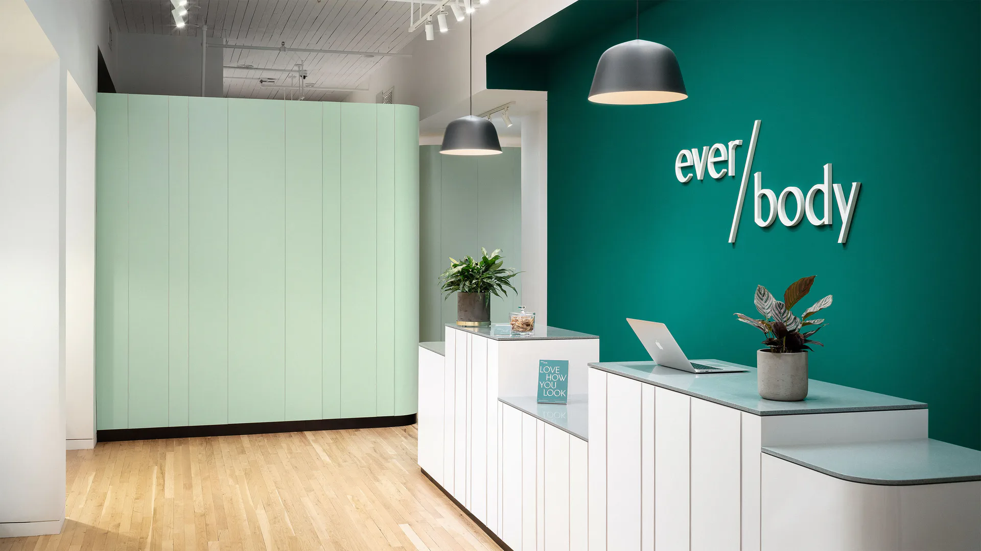 Modern wellness clinic reception area with mint green cabinetry, teal accent wall, pendant lighting, and ever/body branding by Noah Waxman.