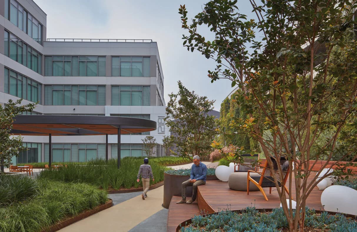 Modern rooftop terrace with curved seating, mature trees, and contemporary building facade, designed by Rhea Thomas.
