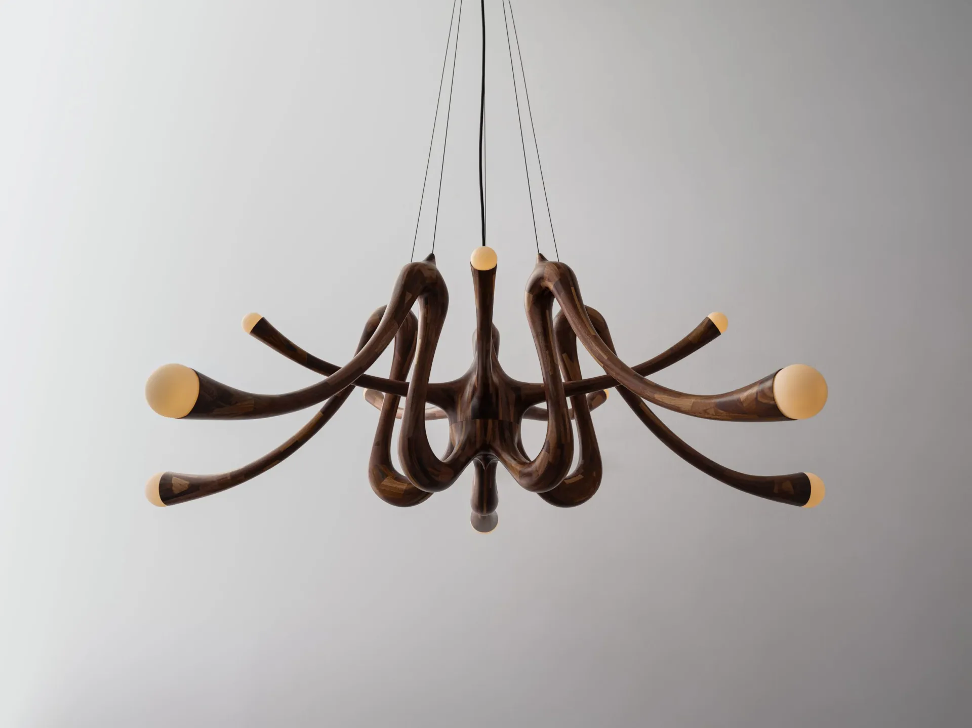 Sculptural wooden chandelier with curved dark brown arms and natural wood sphere accents, suspended by strings against a neutral background by Richard Haining.