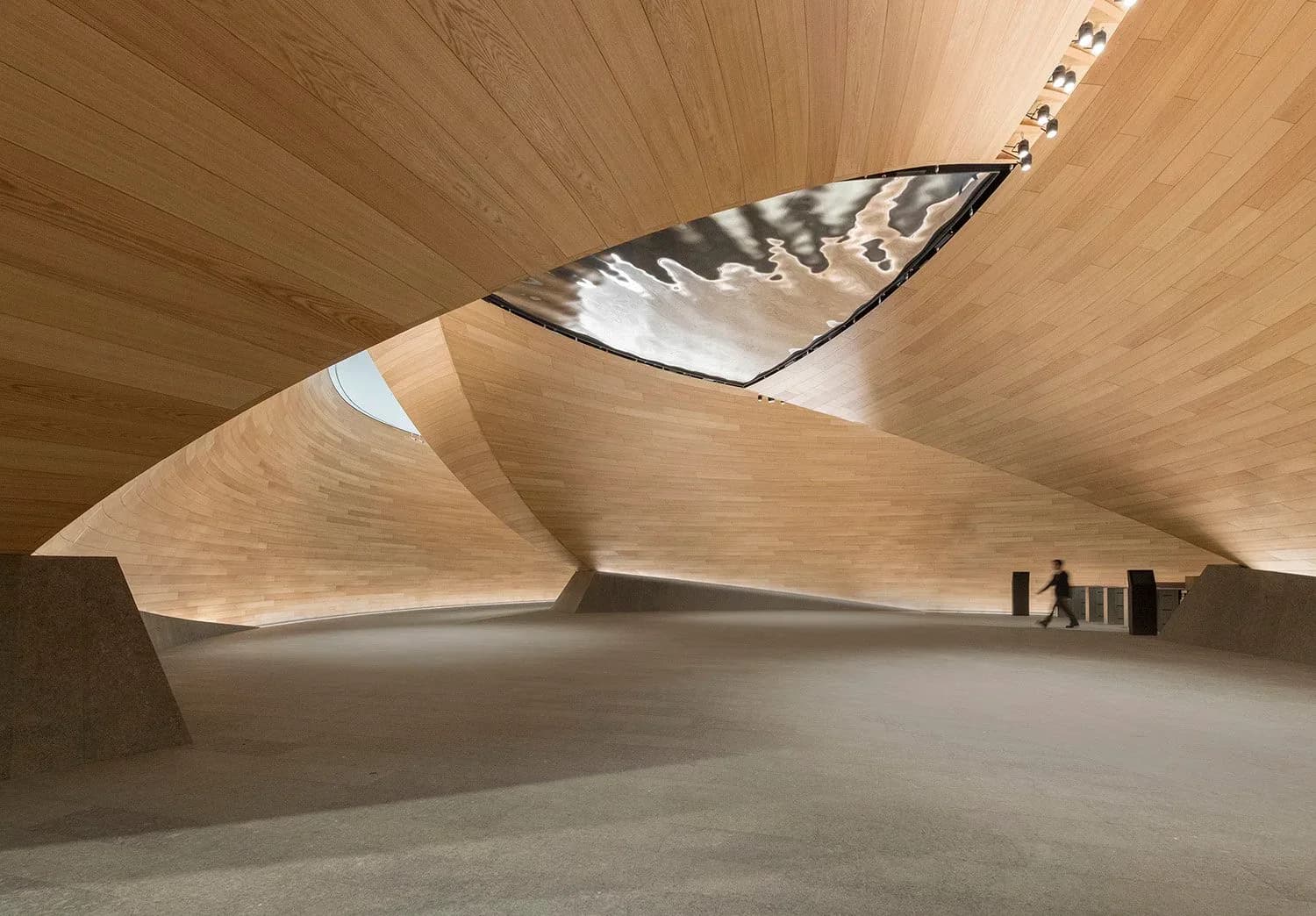 Warm wooden curved interior space with soaring angular forms and skylights creating dramatic light play, a sculptural architectural design by Suzan Tillotson.