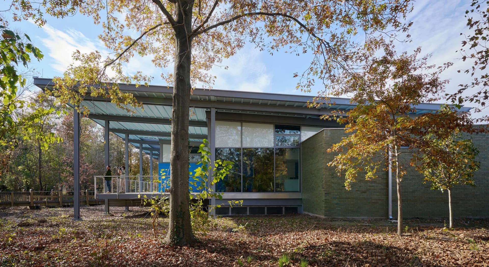 Contemporary residential building with sage-green brick exterior and large glazed windows, nestled among mature autumn trees with golden foliage by Sybille Schneider.