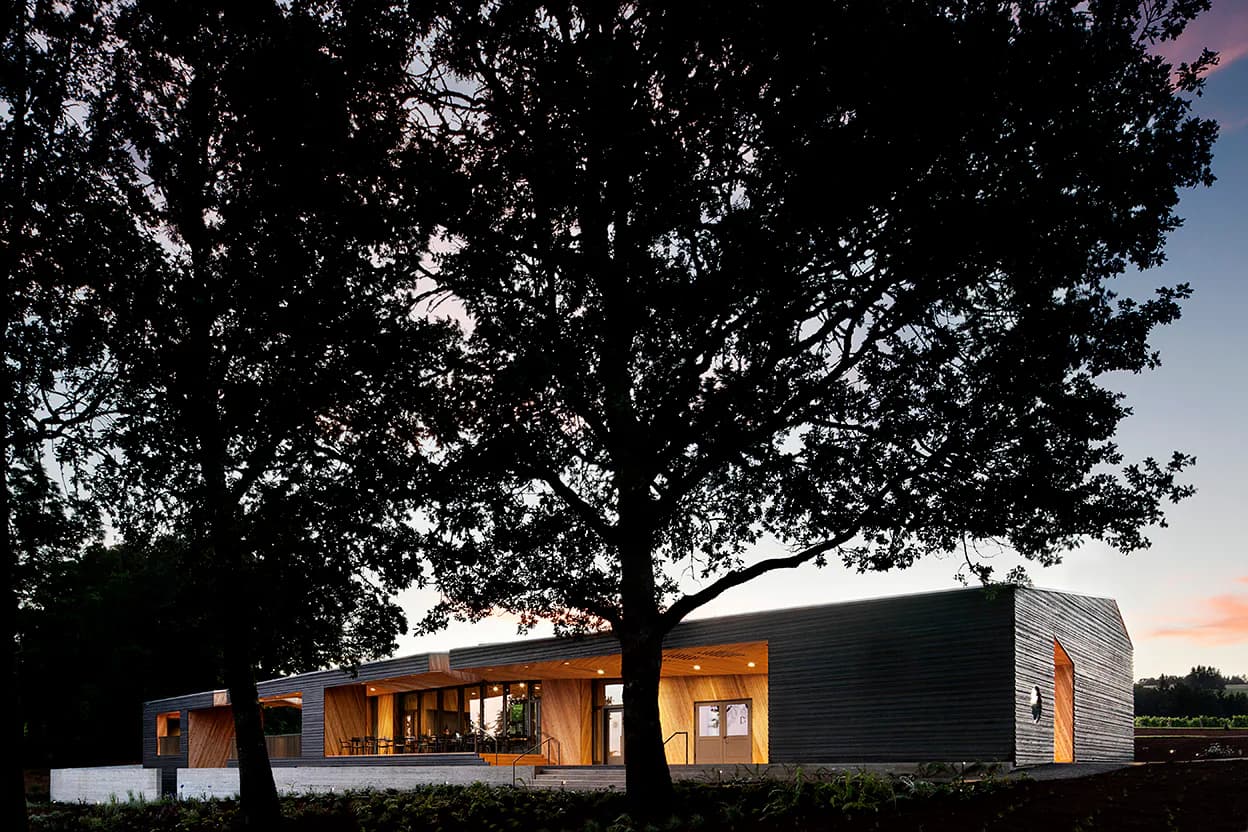 Modern residential structure with warm wooden and dark exterior panels nestled beneath a large mature tree at dusk, designed by Thea von Geldern.