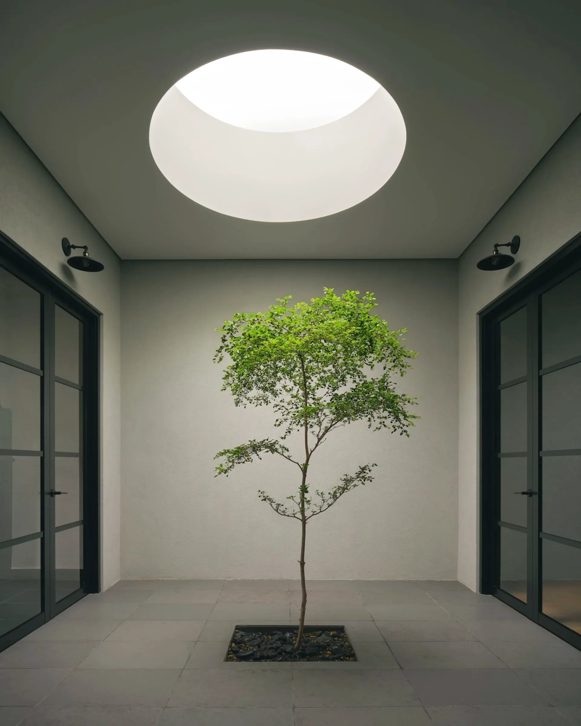 Minimalist interior with a young tree under an oversized oval ceiling light, flanked by dark-framed doors by Themis Haralabides.