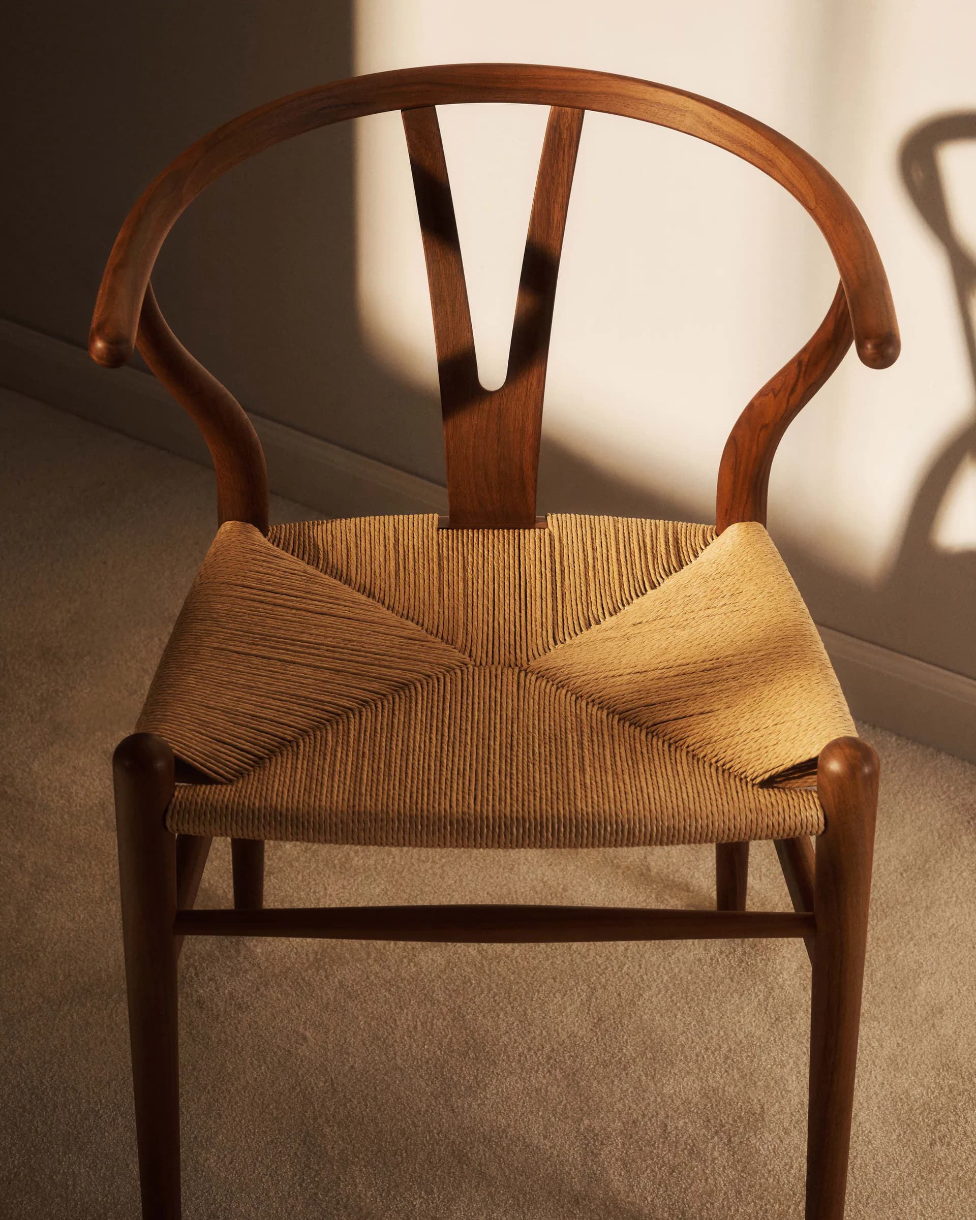 Afternoon Light