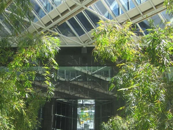 Walking Tour: Privately Owned Public Spaces (POPS) in Midtown North