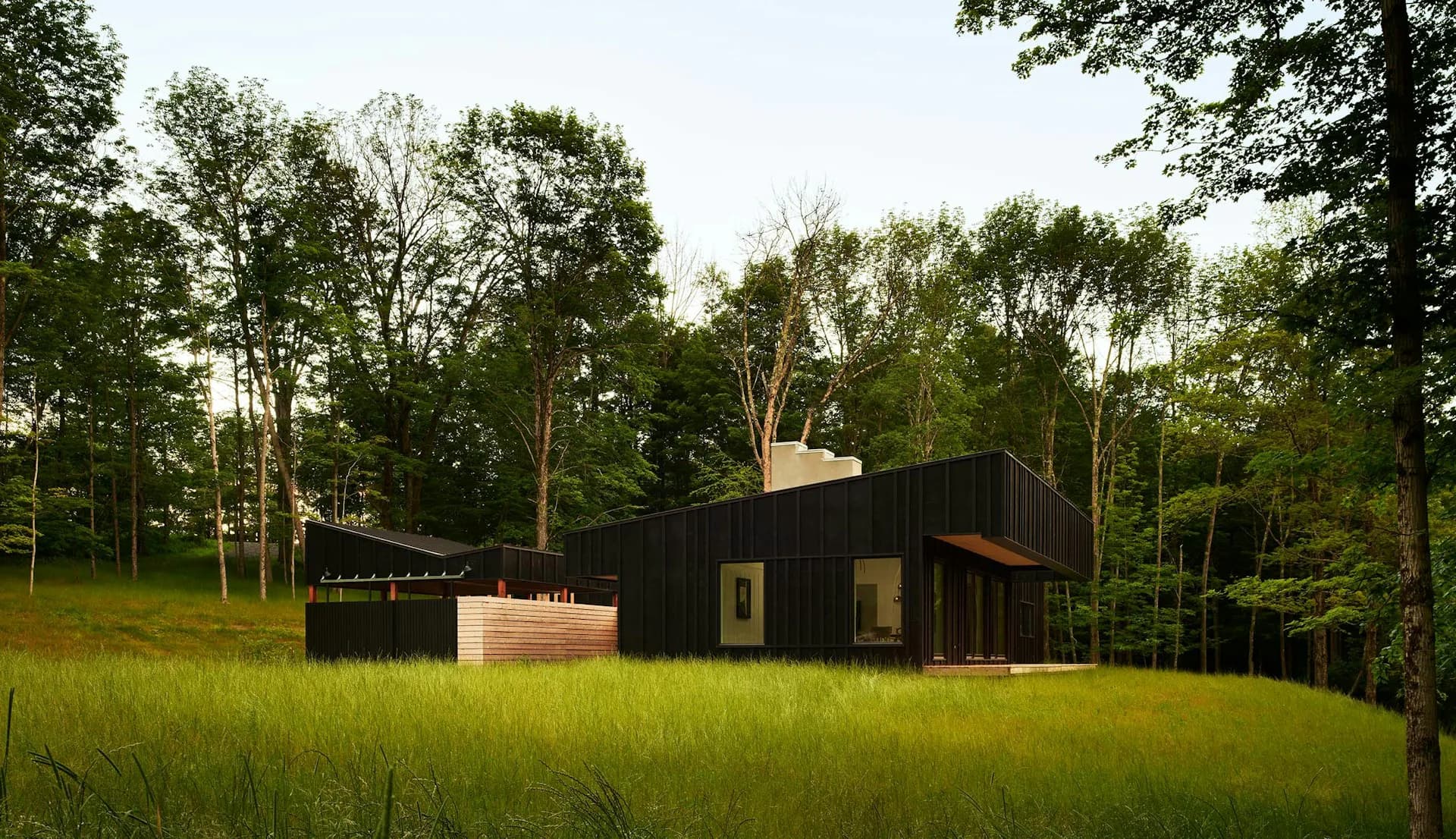 Modern black cottage with warm wood accents nestled in a green meadow surrounded by tall trees, designed by Alepreda Architecture.
