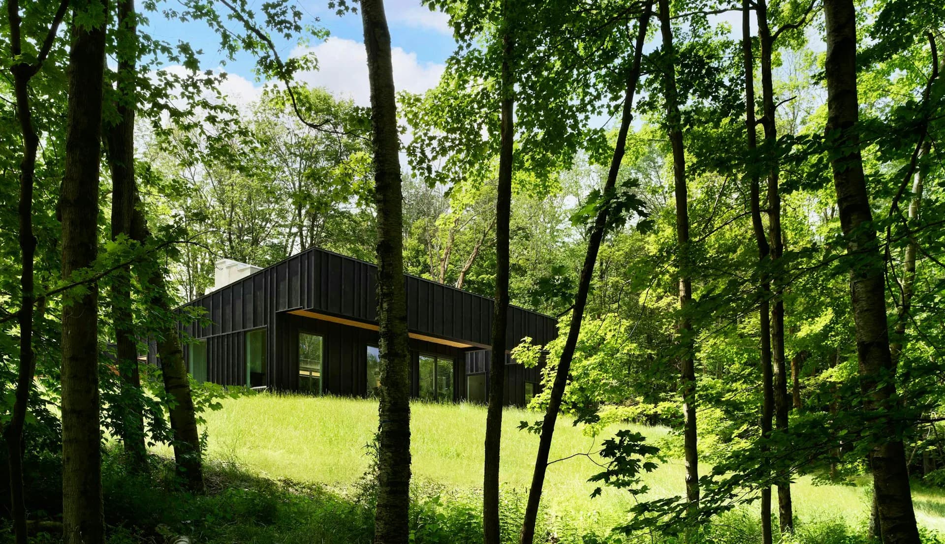 Modern black timber cabin nestled among tall green trees with expansive lawn, designed by Alepreda Architecture.