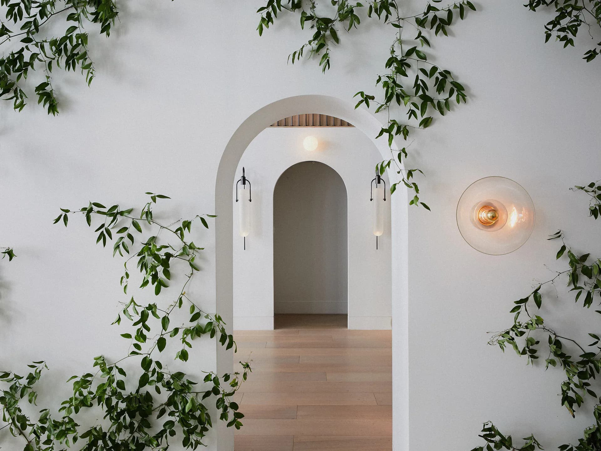 Minimalist interior with arched white doorway, wooden flooring, climbing ivy, and sculptural pendant lighting by Allied Maker.