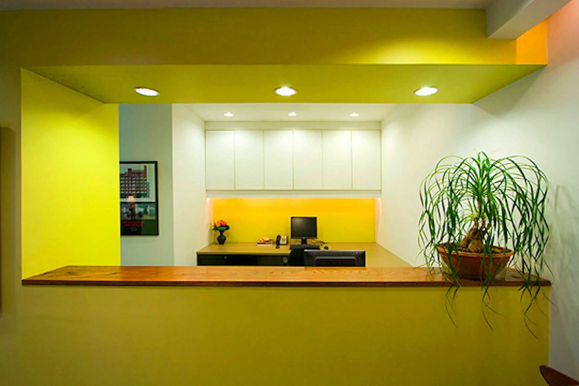 Modern reception desk with vibrant yellow-green walls, recessed lighting, white cabinetry, and potted plant accent by Arpad Baksa Architect, P.C.