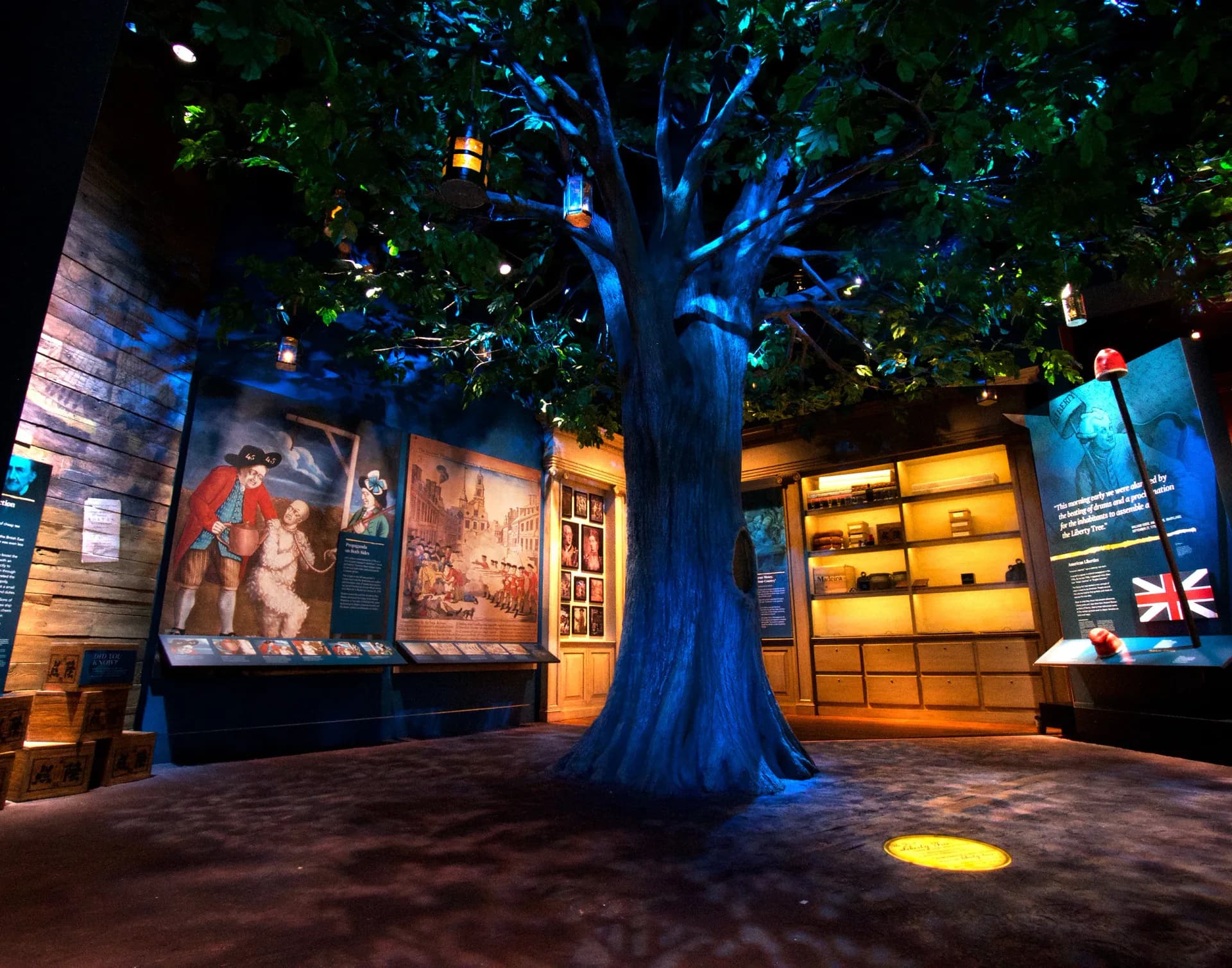 Nighttime museum exhibition space with illuminated display panels and a dramatically lit tree trunk centerpiece, designed by Available Light.