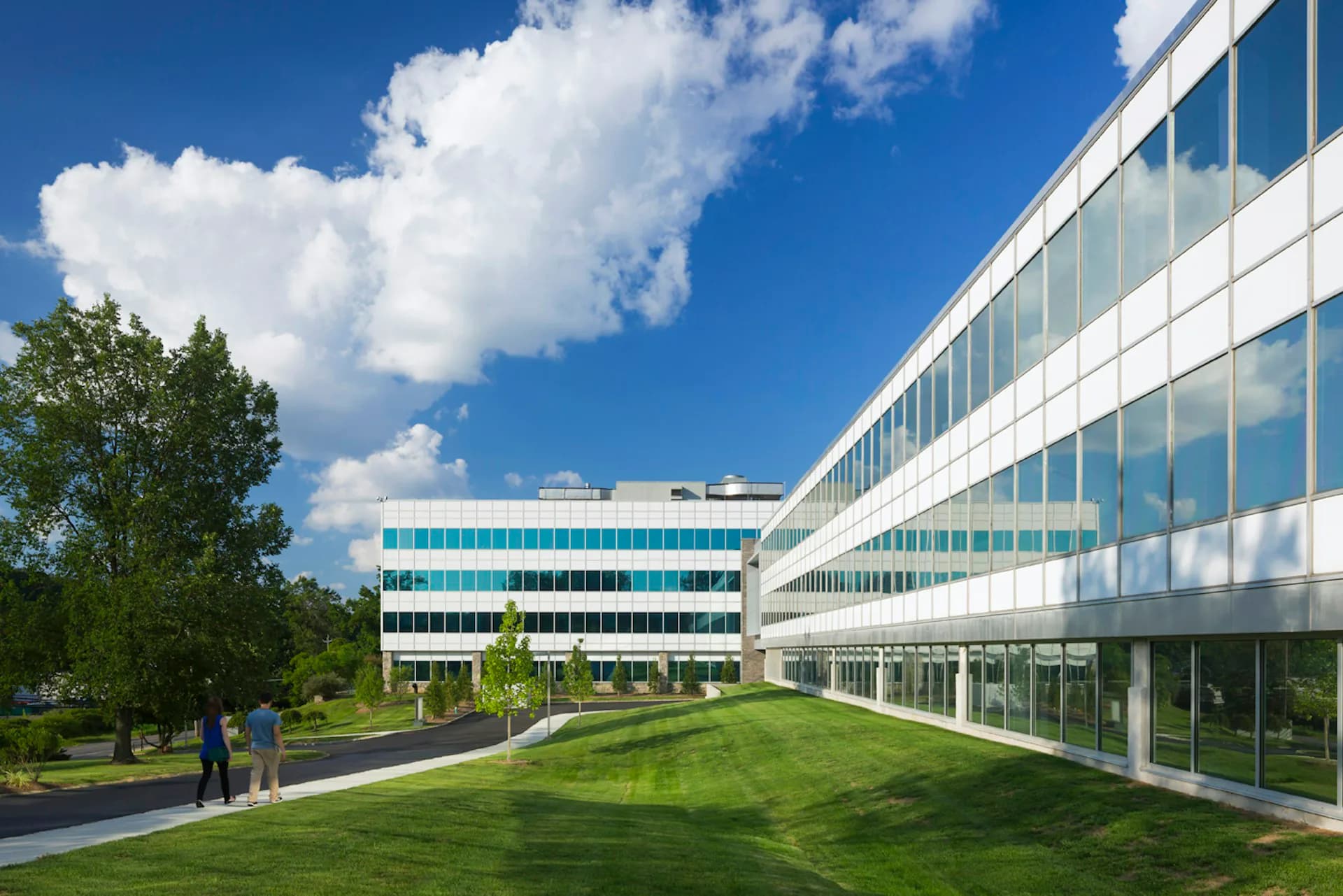 Modern corporate campus with curved glass façade, manicured green lawn, and contemporary architecture under blue sky by BAM Creative.