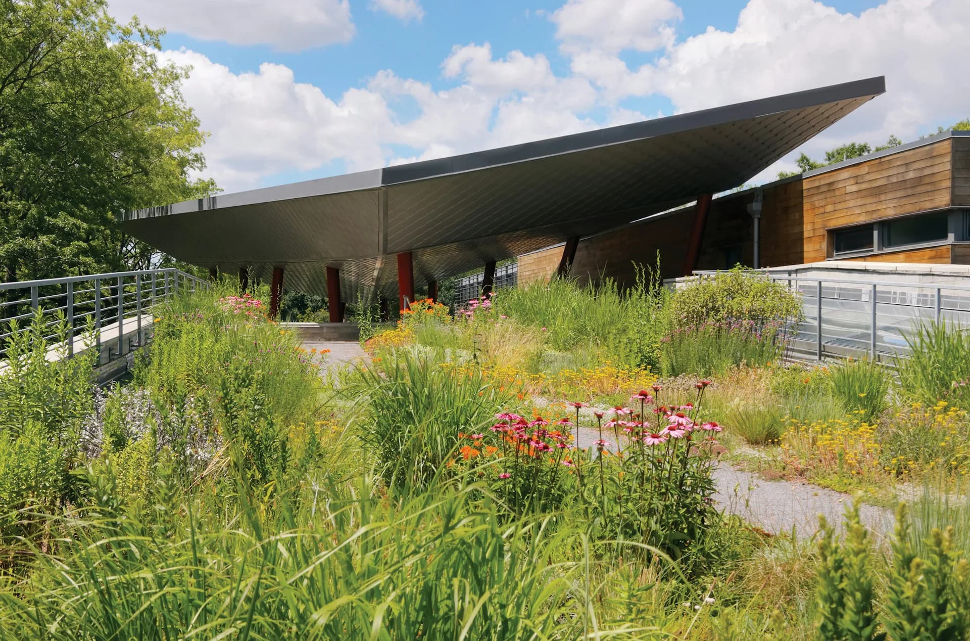Modern residential pavilion with cantilevered black roof overlooking a native plantings garden with wildflowers and ornamental grasses by BKSK Architects.
