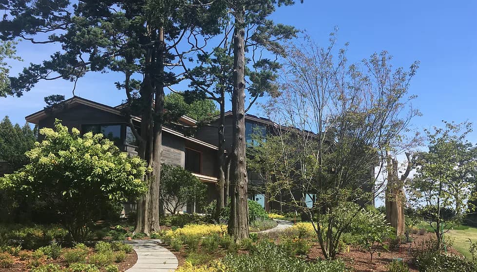 Modern timber pavilion with dark wooden beams set among native plantings and mature trees in a landscaped garden setting by Buck Moorhead Architect.