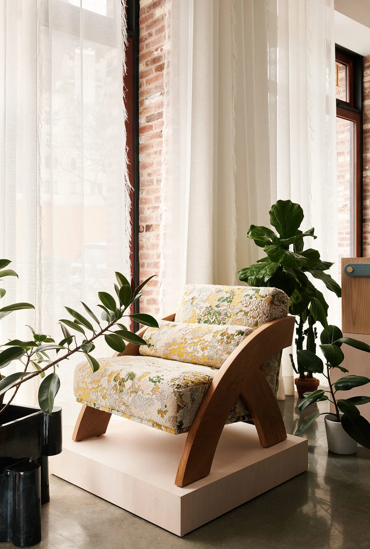 Sunlit interior with a sculptural wooden armchair upholstered in yellow patterned fabric, surrounded by potted plants and sheer curtains, by Colony.