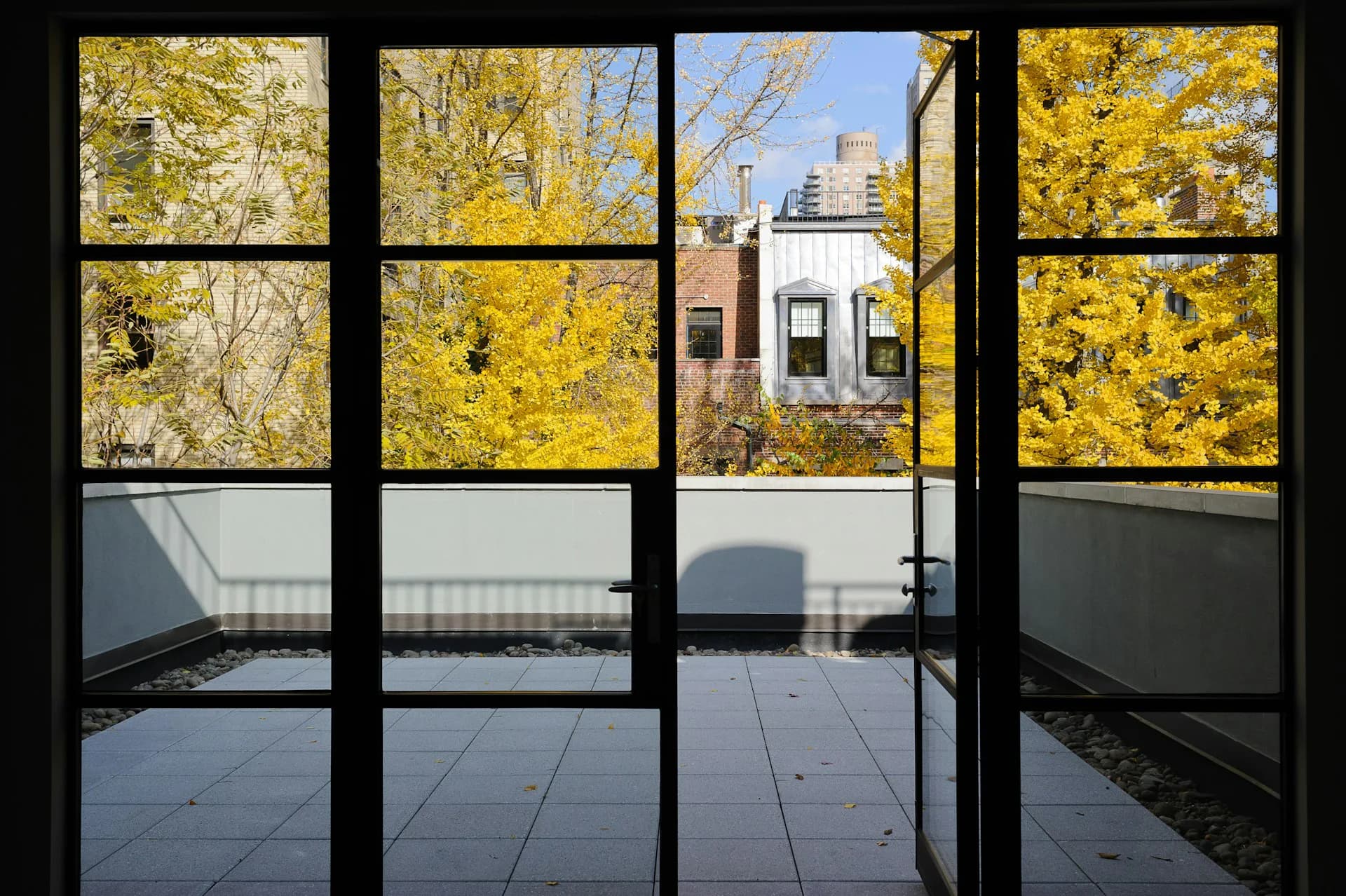Modern rooftop terrace with dark tile flooring and metal railing viewed through large gridded windows, featuring golden autumn foliage and urban skyline beyond, by Daniel Frisch Architecture.