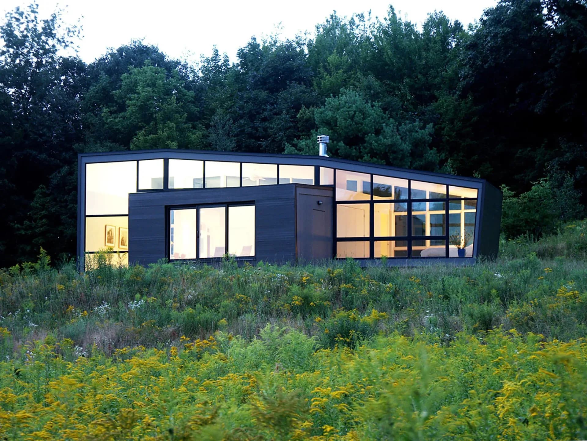 Modern residential building with dark exterior cladding and extensive glazing set within wildflower meadow and forest backdrop by David Jay Weiner, Architects