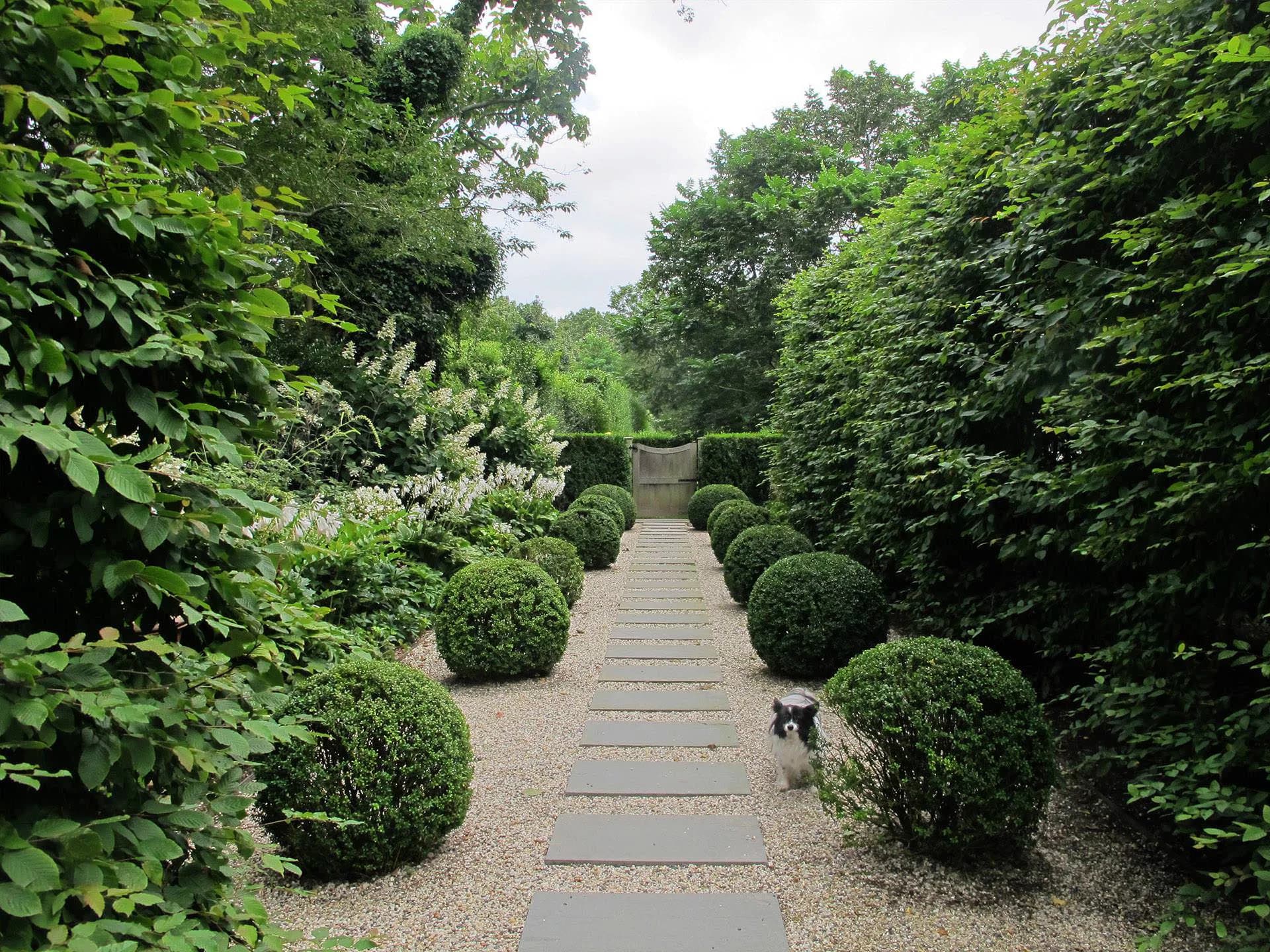 Linear garden pathway with bluestone pavers bordered by manicured boxwood spheres and tall hedges, designed by Deborah Nevins & Associates.