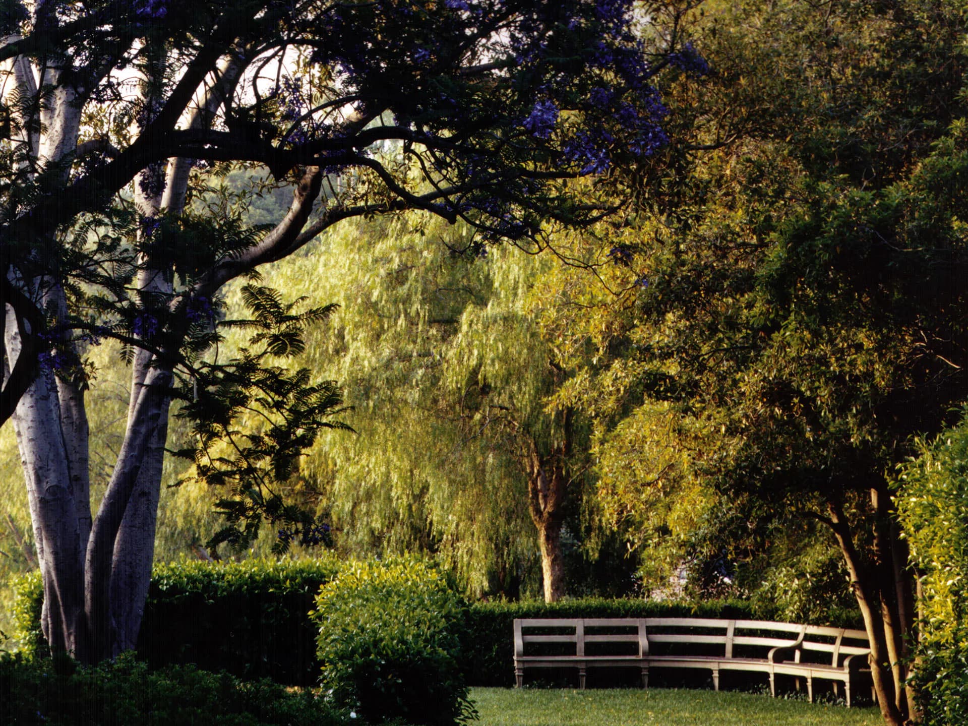 Serene garden landscape with mature trees, manicured hedges, and a wooden bench overlooking verdant grounds, designed by Deborah Nevins & Associates.