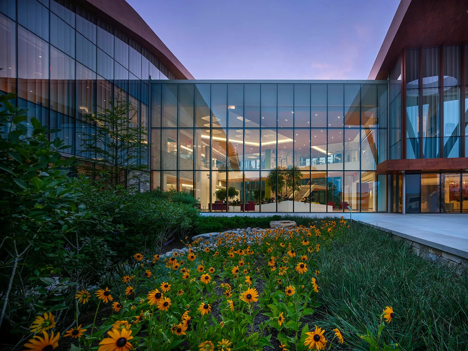 Modern glass-fronted building at dusk with yellow flowering plants in foreground and interior lighting visible, by EwingCole.