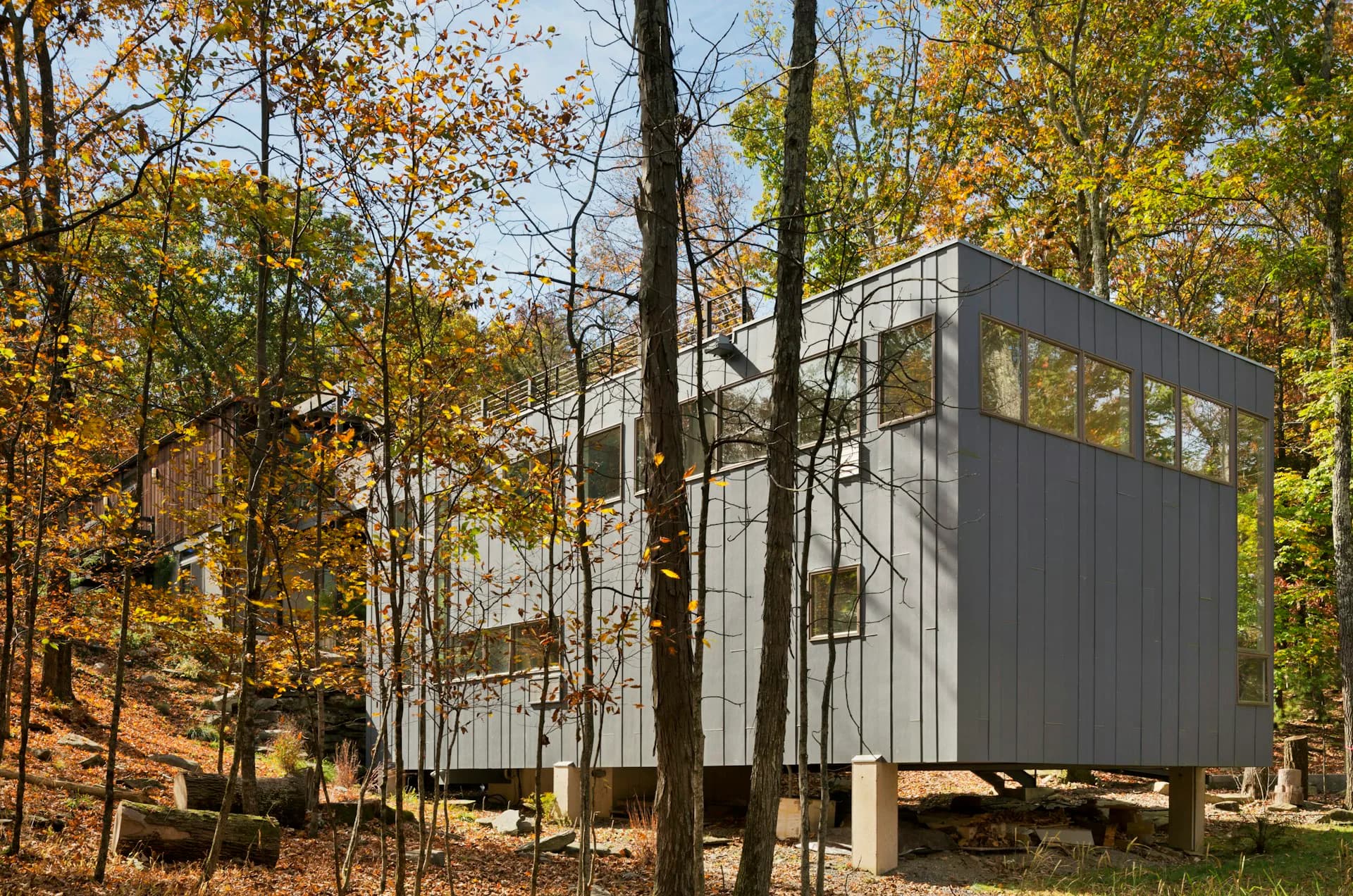 Modern residential pavilion with dark metal cladding and large windows elevated on pillars among autumn trees, surrounded by woodland landscape by Gans studio.
